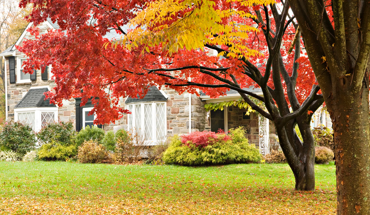 List your home this fall - Jane Hoffman Realty